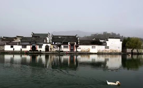 微信图片_20220407171556